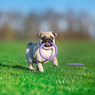 Набор игрушек для собак Ferplast Puller Micro / 86780099