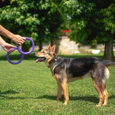 Набор игрушек для собак Ferplast Puller Midi / 86782099