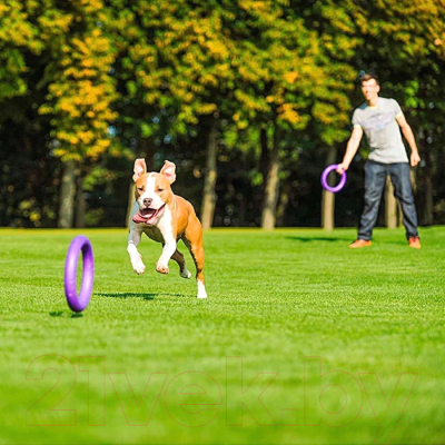 Набор игрушек для собак Ferplast Puller Standard / 86783099