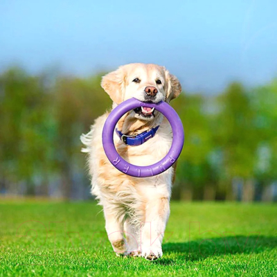 Набор игрушек для собак Ferplast Puller Standard / 86783099