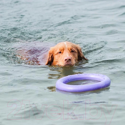 Набор игрушек для собак Ferplast Puller Standard / 86783099