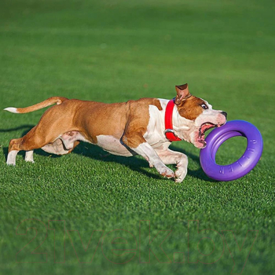 Игрушка для собак Ferplast Puller Maxi / 86784099