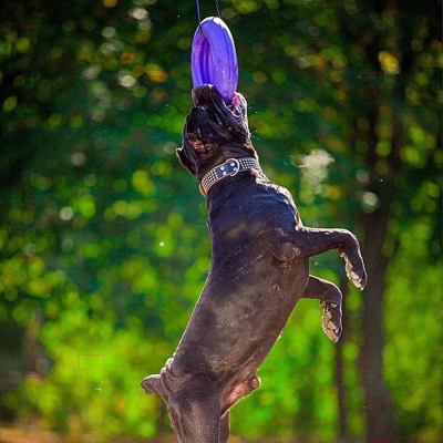 Игрушка для собак Ferplast Puller Maxi / 86784099