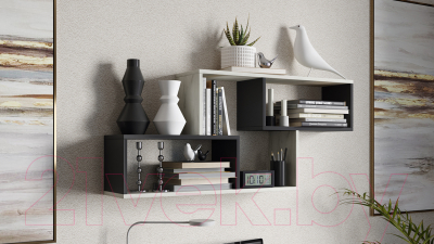 Полка ТриЯ Тип 4