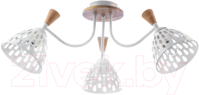 Люстра Aitin-Pro НПБ N4363/3 - фото