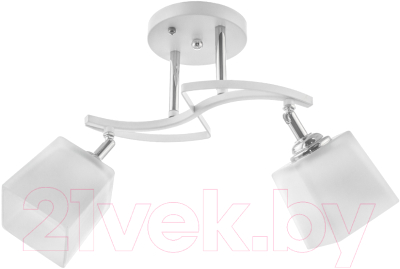 Потолочный светильник Aitin-Pro НПБ N4483/2 - фото