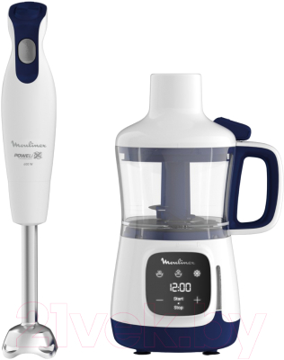 Блендер стационарный Moulinex DD55W110 - фото