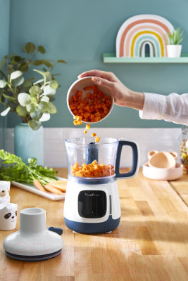 Блендер стационарный Moulinex DD55W110