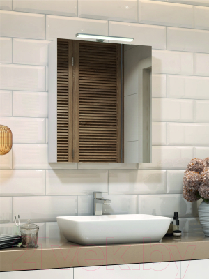 Шкаф с зеркалом для ванной Vigo Plaza 700