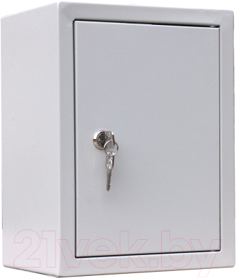 Щит с монтажной панелью Rucelf ЩМП-00 290x220x155 IP54 - фото