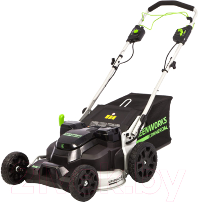 Газонокосилка электрическая Greenworks TwinForce 2515607 - фото