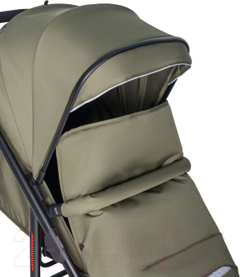 Детская прогулочная коляска Farfello Bonnie Black / BB