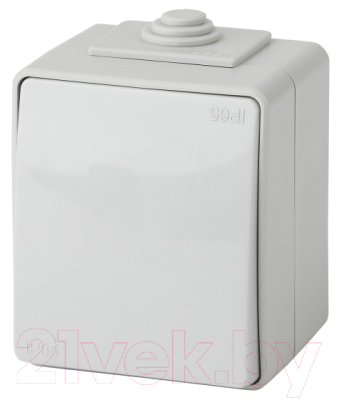 Выключатель ЭРА Эксперт 11-1603-03 / Б0035975 - фото