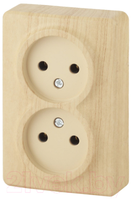 Розетка ЭРА Эксперт 11-2202-11 / Б0020684 - фото