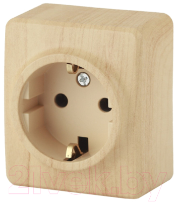 Розетка ЭРА Эксперт 11-2204-11 / Б0020690 - фото