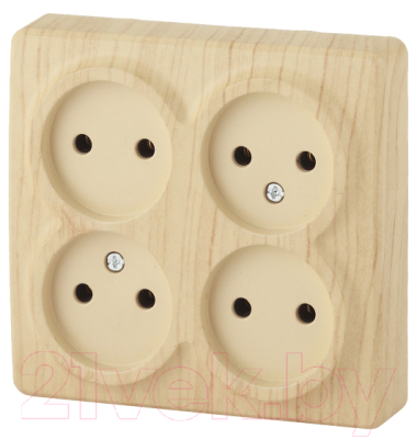 Розетка ЭРА Эксперт 11-2210-11 / Б0020708 - фото