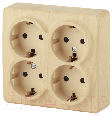 Розетка ЭРА Эксперт 11-2211-11 / Б0020711 - фото