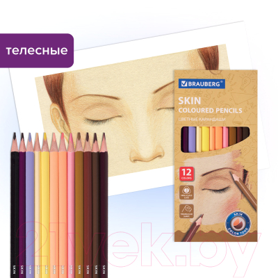 Набор цветных карандашей Brauberg 181792