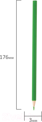 Набор цветных карандашей Пифагор Веселая такса / 181808