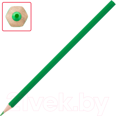 Набор цветных карандашей Пифагор Веселая такса / 181808