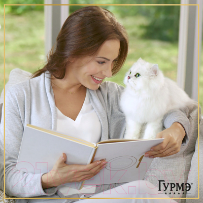 Влажный корм для кошек Гурмэ Перл кролик соус