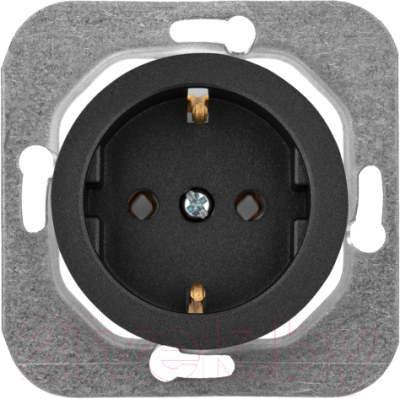 Розетка Bylectrica РС16-1402 - фото