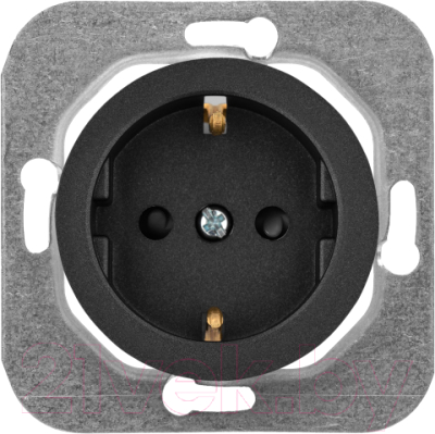 Розетка Bylectrica РС16-1406 - фото