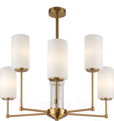 Люстра Freya Agnes FR5184PL-06BS - фото