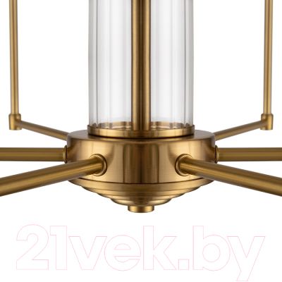 Люстра Freya Agnes FR5184PL-06BS