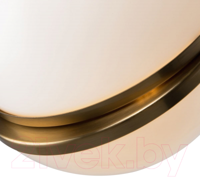 Потолочный светильник Freya FR5181PL-01BS