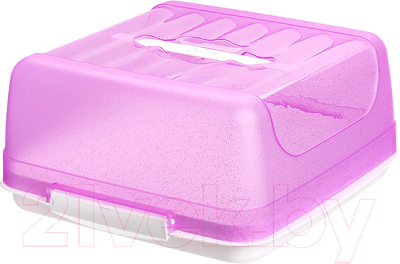 Емкость для хранения выпечки Drina Belino 10522 - фото