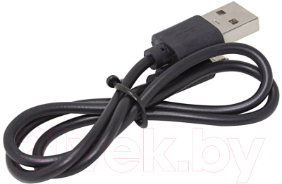 Светильник переносной Forsage F-EL2301