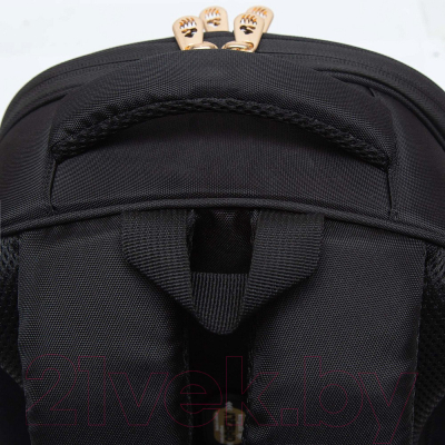 Школьный рюкзак Grizzly RAz-286-1