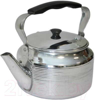 Чайник Эрг-Ал 4л, полированный - фото