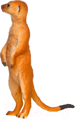 Фигурка коллекционная Masai Mara Мир диких животных. Сурикат / MM211-177 - фото