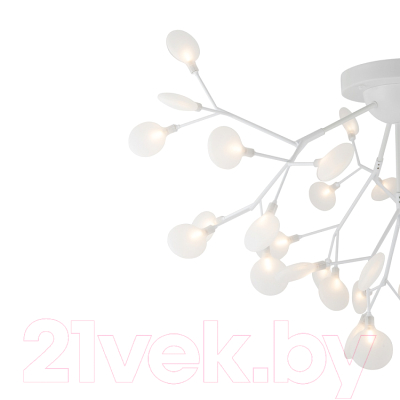 Люстра Freya Florencia FR5049CL-36W1