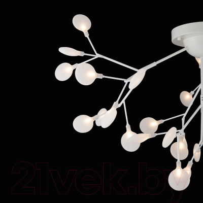 Люстра Freya Florencia FR5049CL-36W1