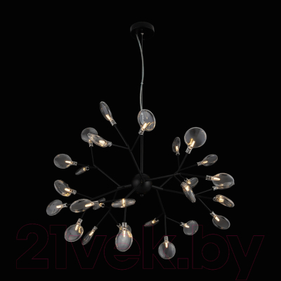 Люстра Freya Florencia FR5049PL-27B