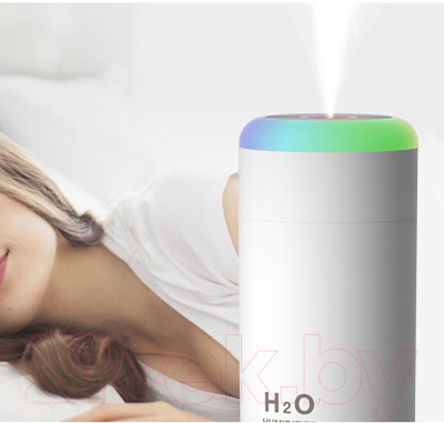 Ультразвуковой увлажнитель воздуха No Brand Огайо USB / 21008.01 (белый)