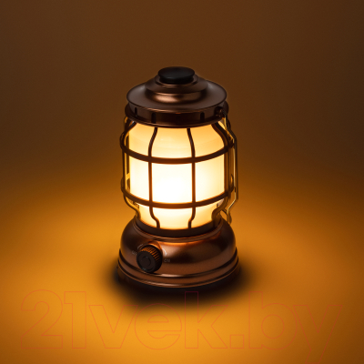 Фонарь ЭРА Факел KB-801 / Б0054042