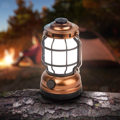 Фонарь ЭРА Факел KB-801 / Б0054042