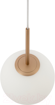 Потолочный светильник Maytoni Basic Form MOD321PL-01G3