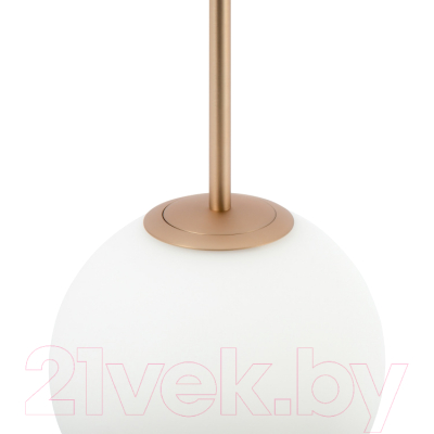 Потолочный светильник Maytoni Basic Form MOD321PL-01G3