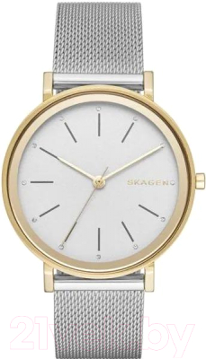 Часы наручные женские Skagen SKW2508 - фото