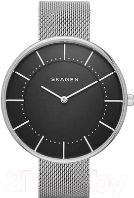Часы наручные женские Skagen SKW2561 - фото