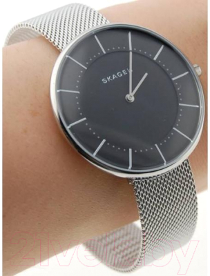 Часы наручные женские Skagen SKW2561
