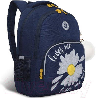 Школьный рюкзак Grizzly RG-260-2 - фото