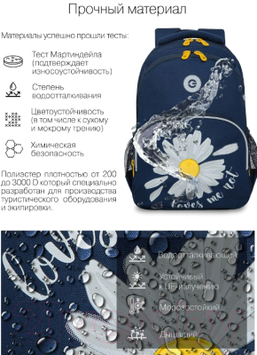 Школьный рюкзак Grizzly RG-260-2