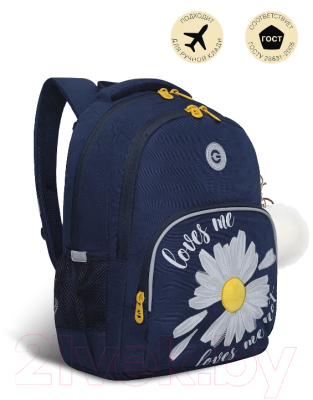 Школьный рюкзак Grizzly RG-260-2