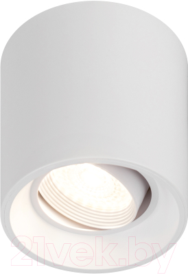 Спот ЭРА OL25-1 / Б0054383